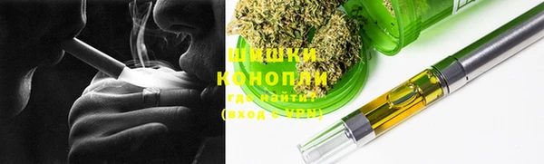 соль ск Бородино