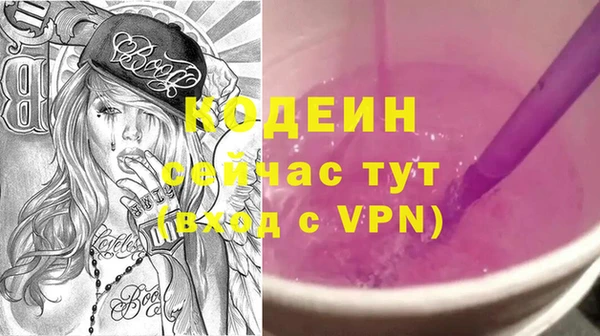 соль ск Бородино