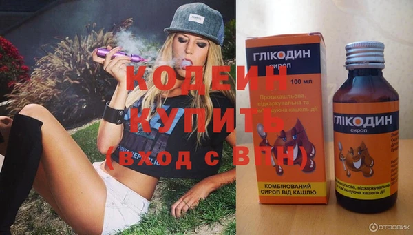 соль ск Бородино