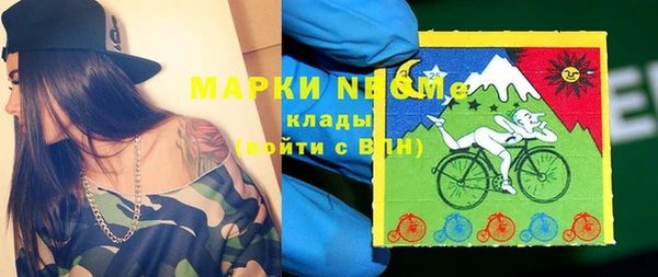 соль ск Бородино